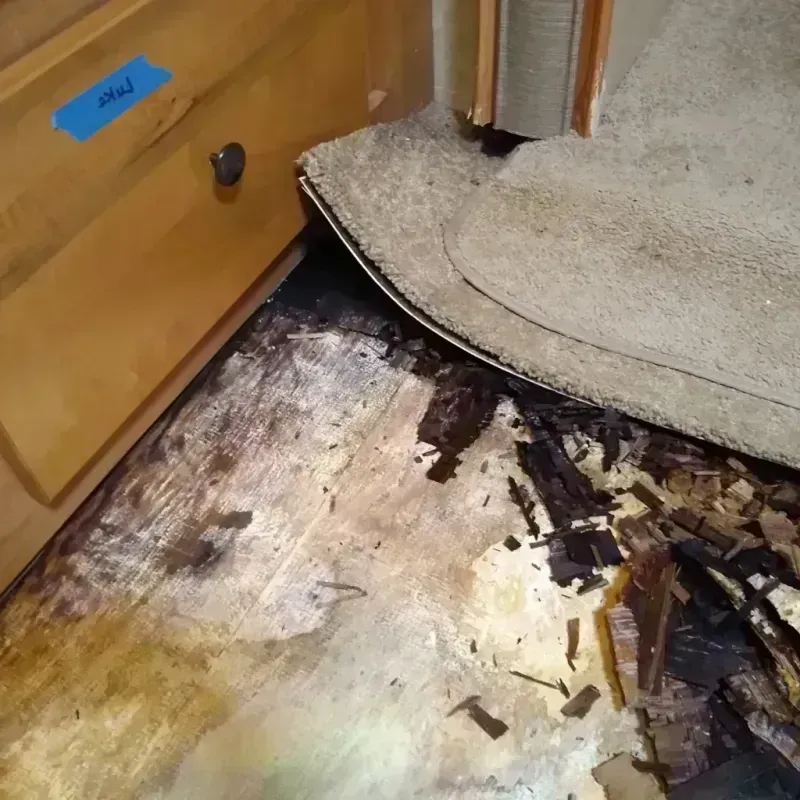 Wood Floor Water Damage in Ashland County, OH